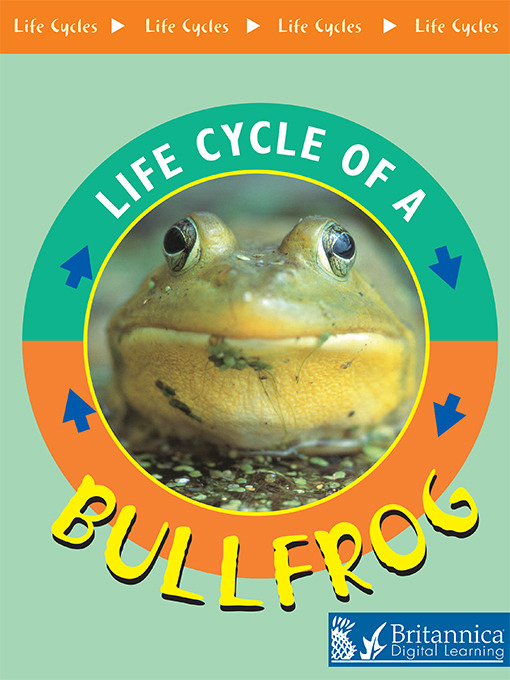 Title details for Bullfrog by Jason Cooper - Wait list